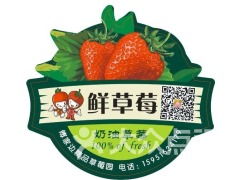 南京傅家邊老朱精品草莓園 采摘、農(nóng)家樂與田園時光的完美攻略